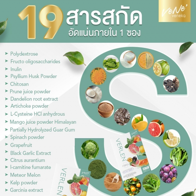 gallery/verlen fiber s💚_210120_22